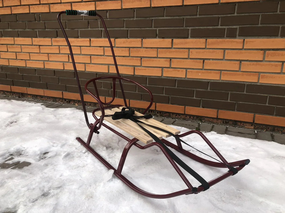 Дитячі санки Вітан Спорт F-1 з ручкою-штовхачем