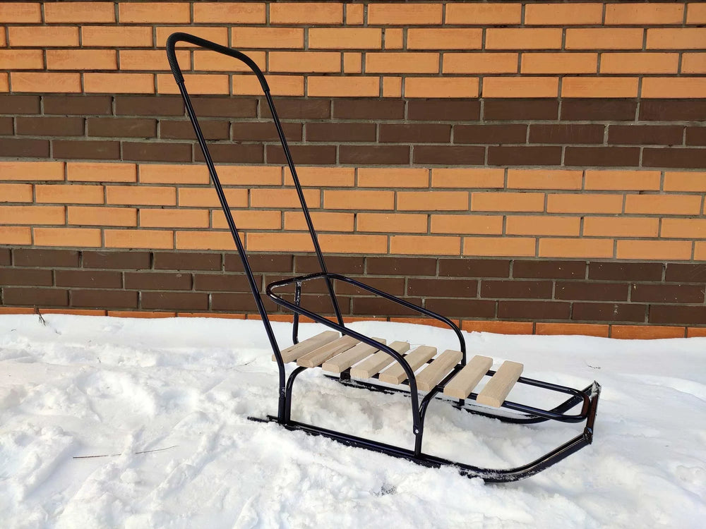 Дитячі санки Водан СД-2 з ручкою-штовхачем