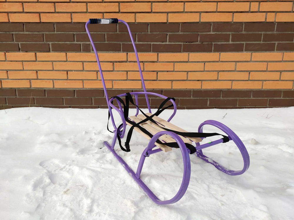 Дитячі санки Вітан Снігур з ручкою-штовхачем