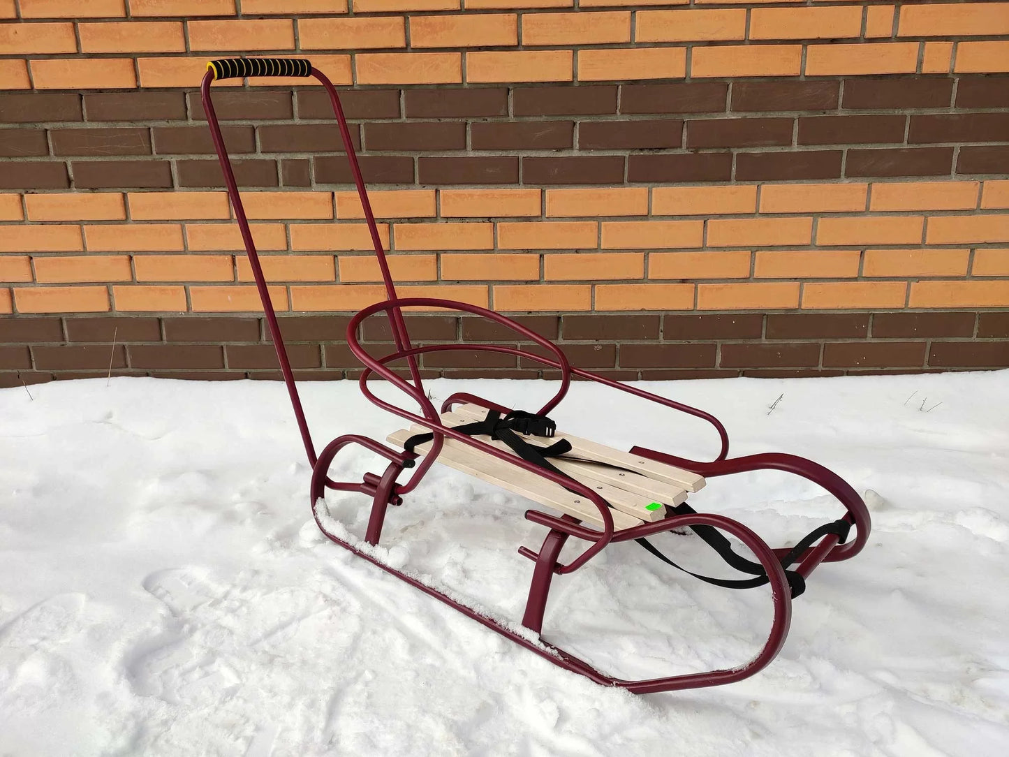 Дитячі санки Вітан експрес із ручкою-штовхачем