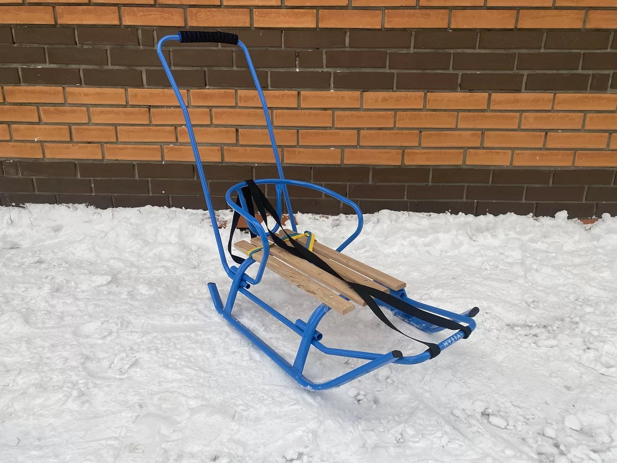 Дитячі санки Витан комета з ручкою-штовхачем