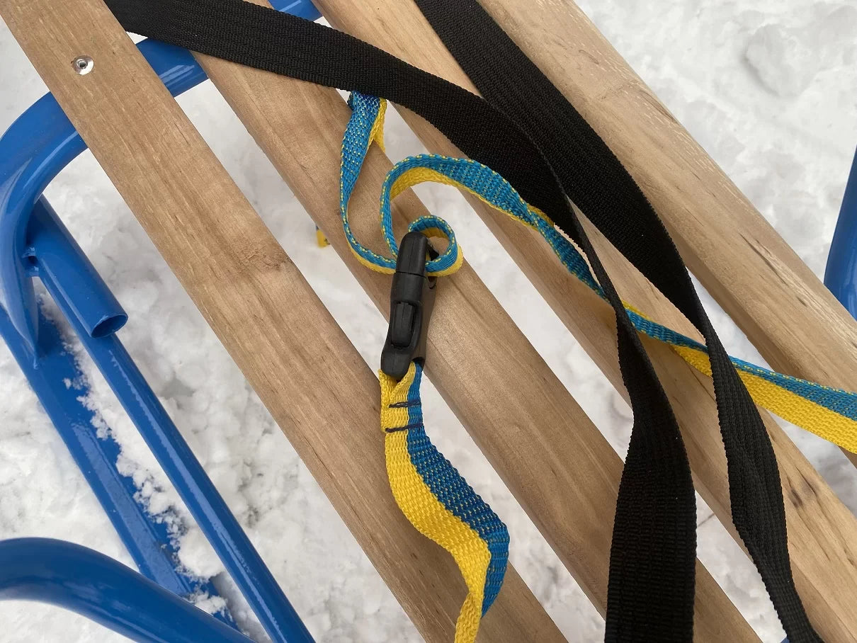 Дитячі санки Витан комета з ручкою-штовхачем - изображение 5