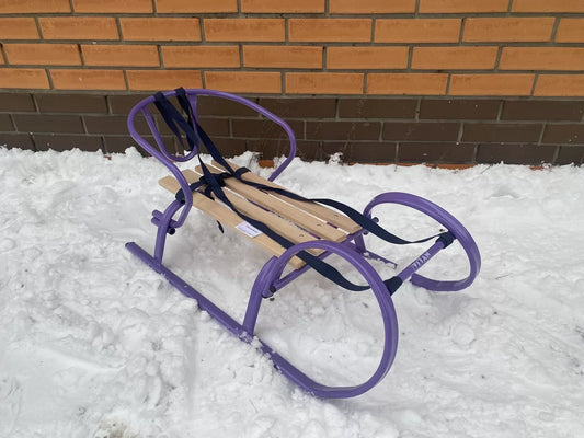 Дитячі санки Вітан Снігур без ручки-штовхача