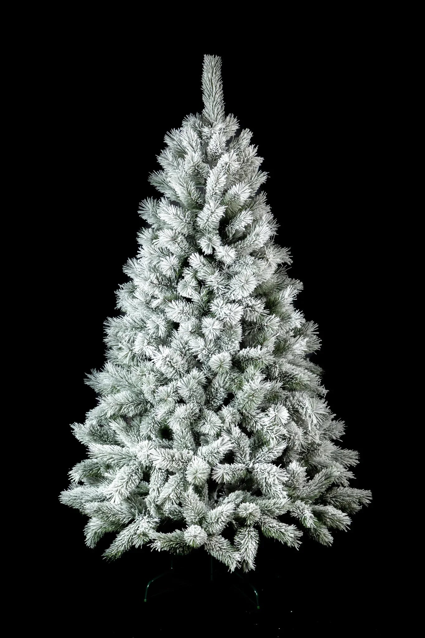 Сосна канадская заснеженная - изображение 4