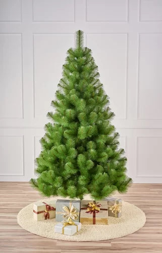 Сосна светлая - изображение 3