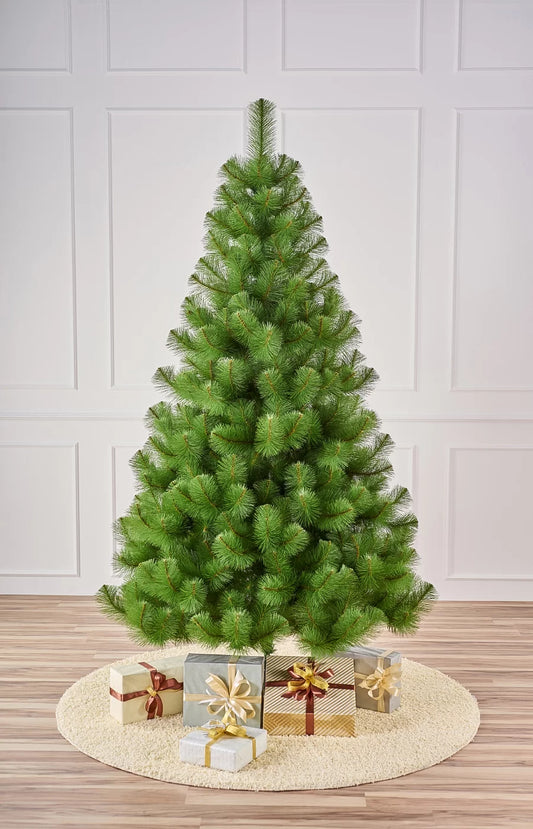 Сосна светлая